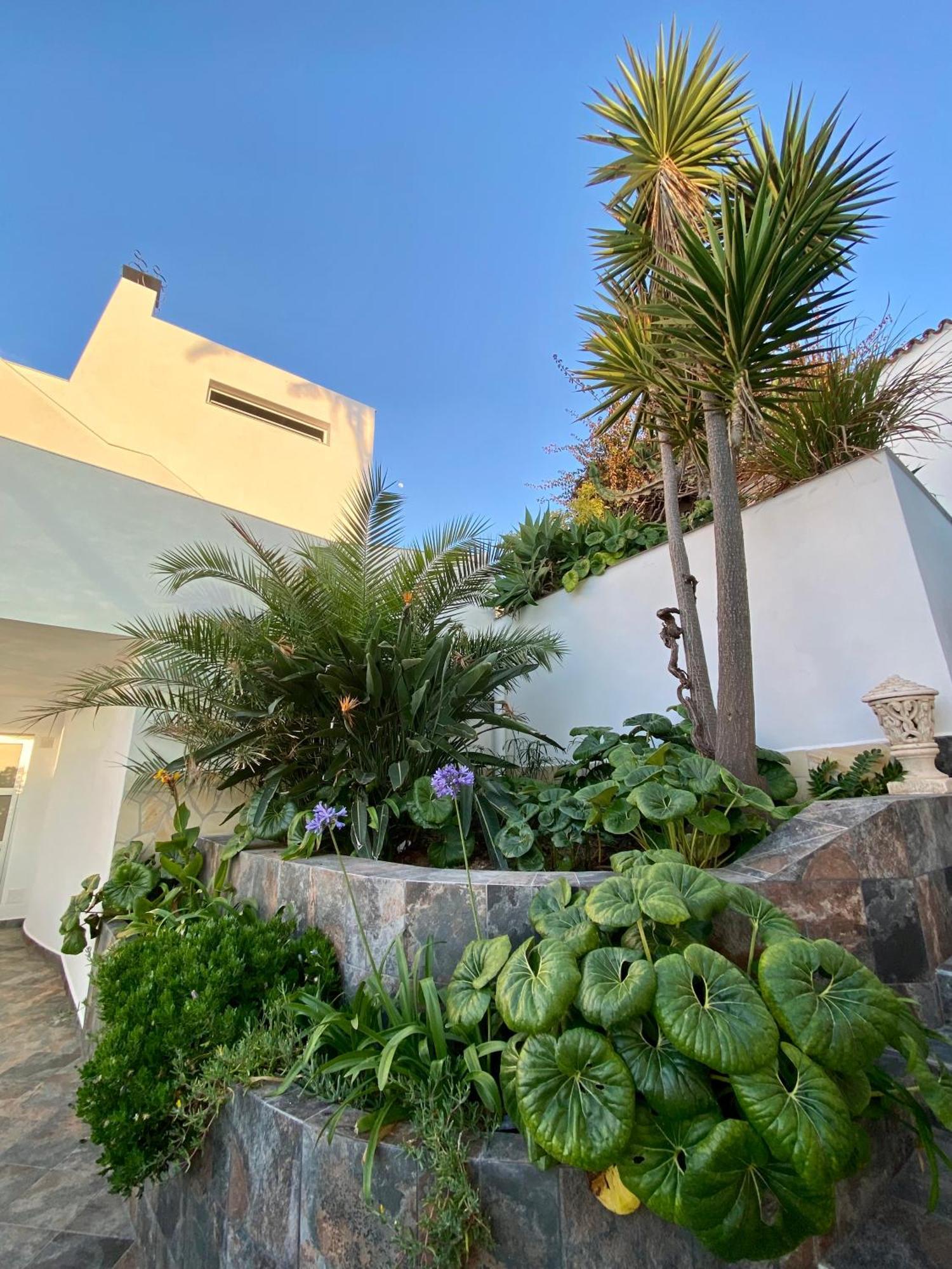Villa Oasis La Paz - Pelinor Studio - Adults Only Puerto de la Cruz  Eksteriør billede